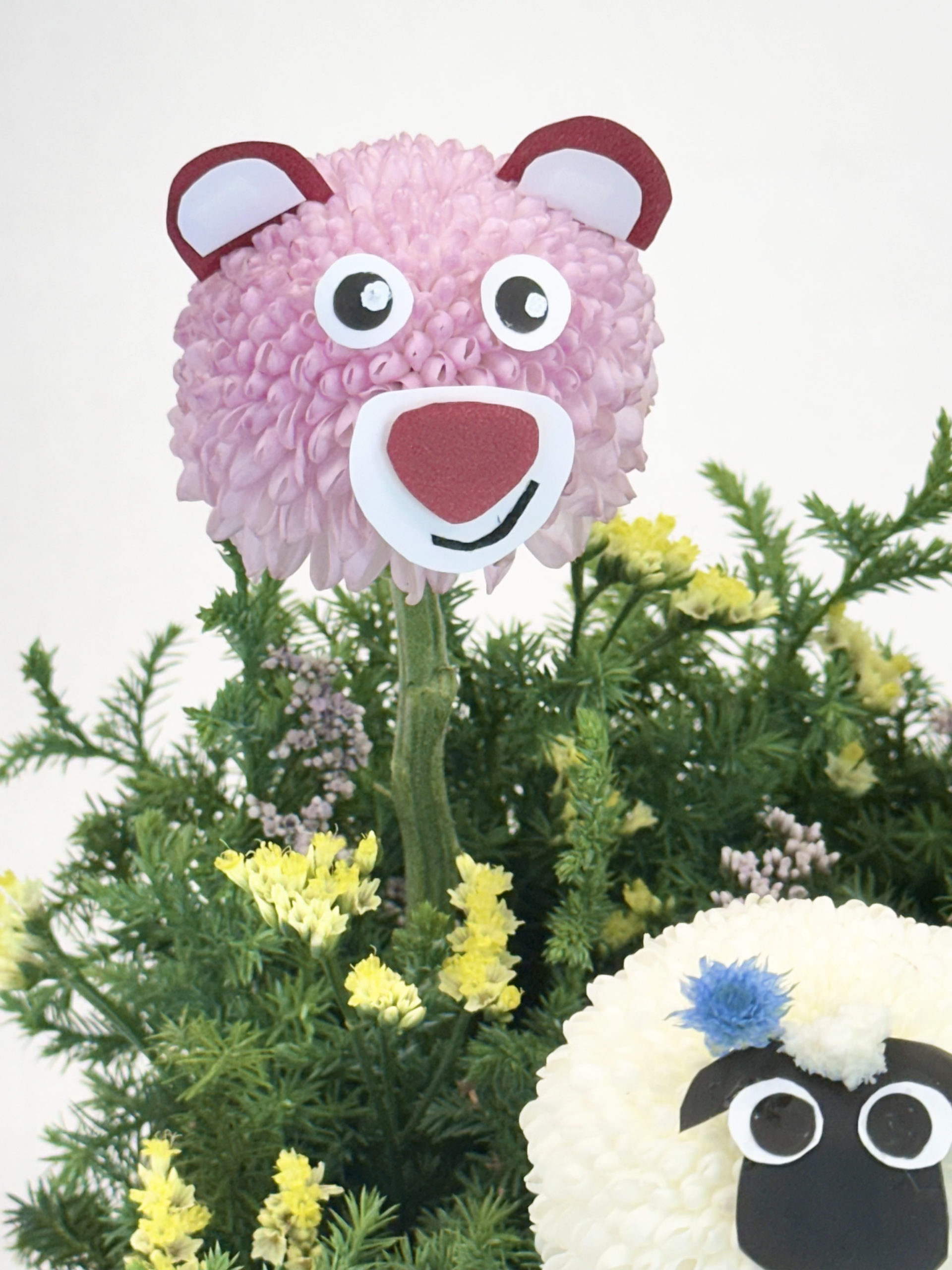 IMG 0741 2 IMG 0741 2